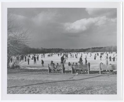 Belmont Lake State Park. Skating