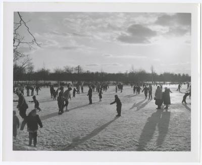 Belmont Lake State Park. Skating