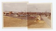 Landscape Development