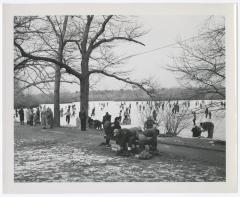 Belmont Lake State Park. Skating