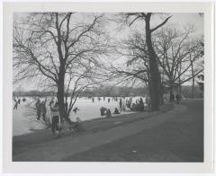 Belmont Lake State Park. Skating