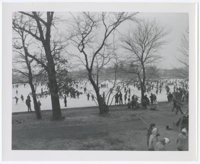 Belmont Lake State Park. Skating