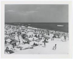 Robert Moses State Park Patrons Sunbathing