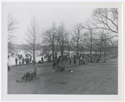 Belmont Lake State Park. Skating