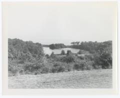 Long Island State Parks, Wooded Area near Water