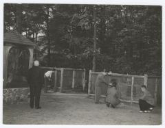 People looking at animals in cages at a zoo at Belmont Lake State Park