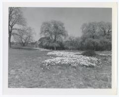 Southside Sportsmen's Preserve, Field with Flowers