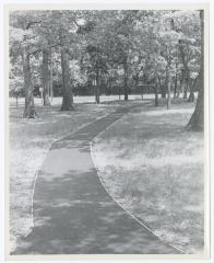Long Island State Parks, Path in Wooded Area