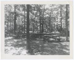 Play Areas and Parking Fields, Bridle Path, Nature Trail