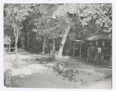 People looking at animals in cages at a zoo at Belmont Lake State Park