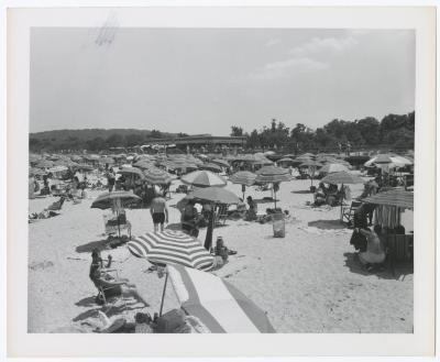 Sunken Meadow State Park, Album