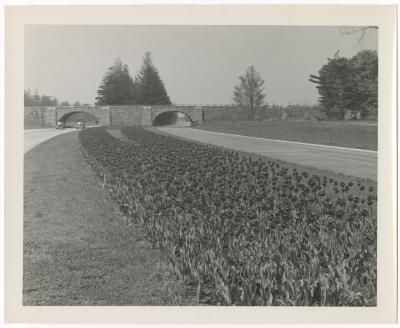 Southern State Parkway