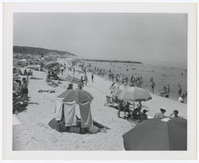 Sunken Meadow State Park, Album