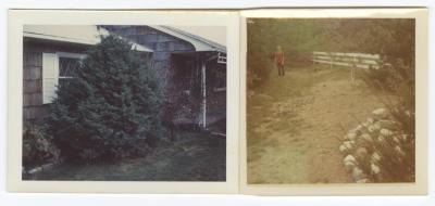 Large bush in front of house with long view of young man in red shirt in yard