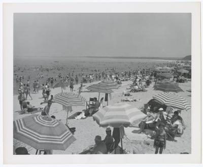 Sunken Meadow State Park, Album