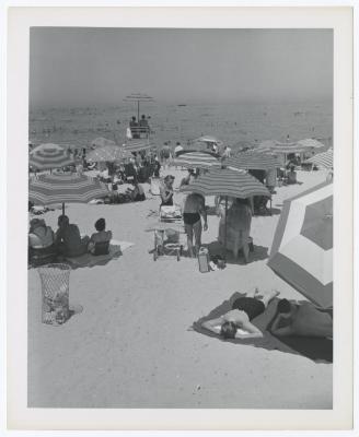 Sunken Meadow State Park, Album