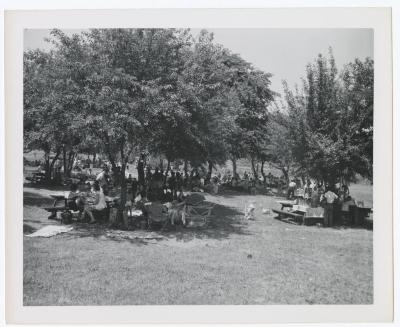 Sunken Meadow State Park, Album
