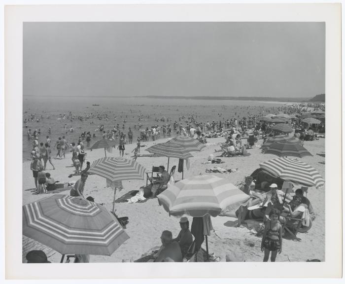Sunken Meadow State Park, Album