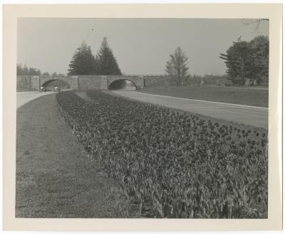 Southern State Parkway