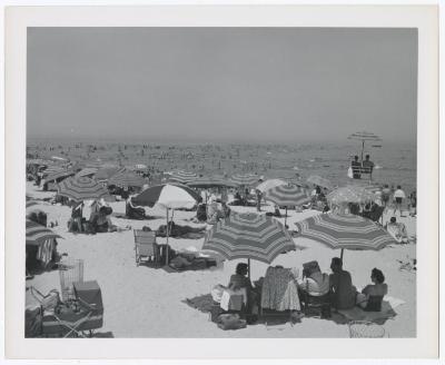 Sunken Meadow State Park, Album