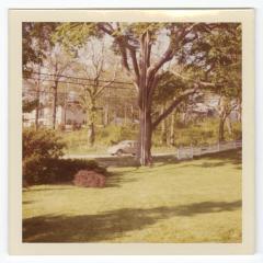 Lawn in foreground, trees, car in background