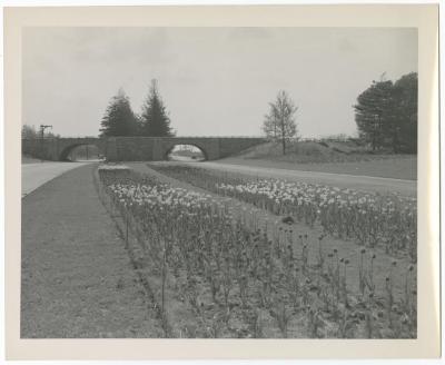 Southern State Parkway