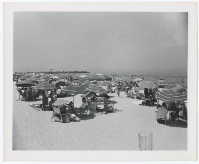 Sunken Meadow State Park, Album
