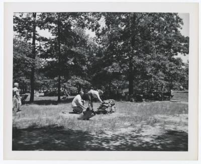 Sunken Meadow State Park, Album