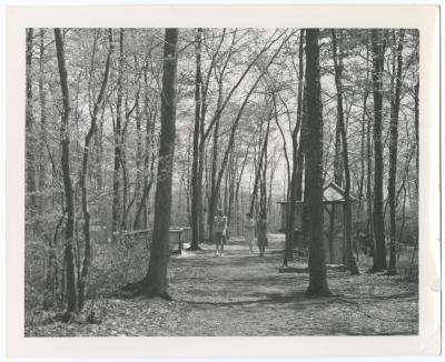 Play Areas and Parking Fields, Bridle Path, Nature Trail