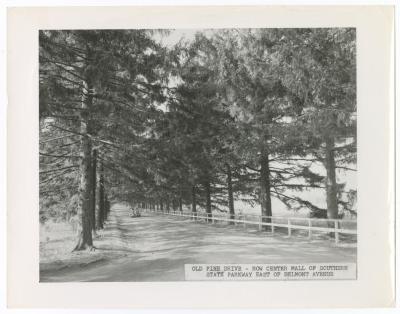 Southern State Parkway