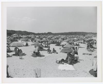 Sunken Meadow State Park, Album