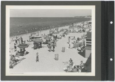 Wildwood State Park. Beach. Album