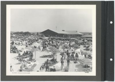 Sunken Meadow State Park. Boardwalk and beach. Album