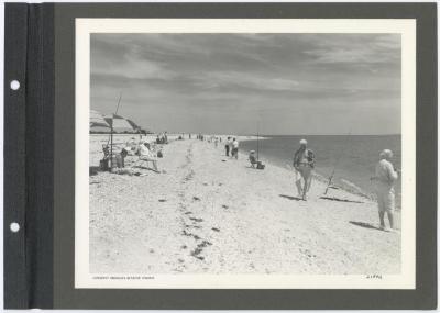 Orient Beach State Park. Fishing on the beach. Album