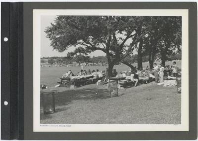 Sunken Meadow State Park. Picnic area. Album