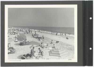 Fire Island State Park. Beach. Album