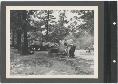 Sunken Meadow State Park. Picnic area. Album