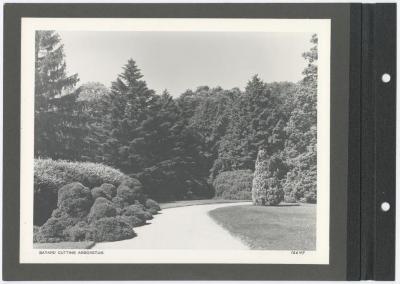 Bayard cutting arboretum. Album