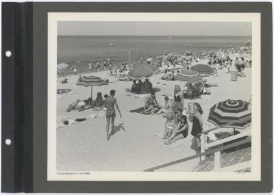 Wildwood State Park. Beach. Album