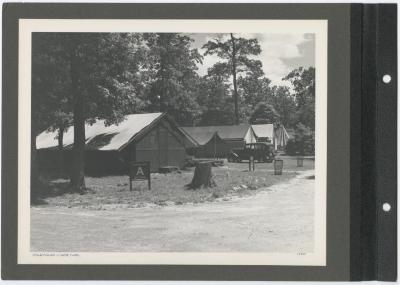 Wildwood State Park. Camping area. Album