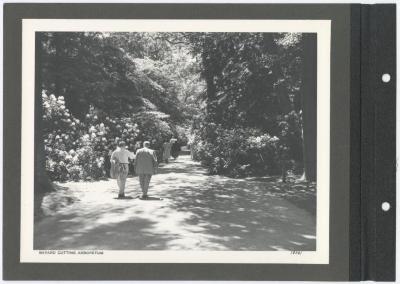 Bayard cutting arboretum. Album