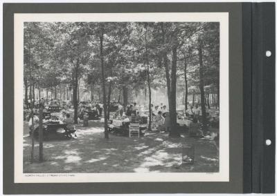 North Valley Stream State Park. Picnic area. Album