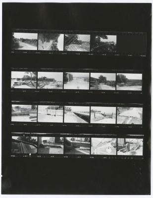 Contact sheet with twenty images of various park scenes