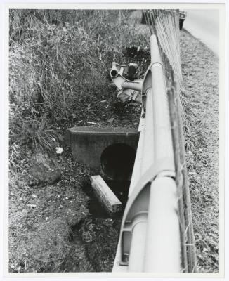 Belmont Lake State Park. Damaged Guard Rail, August Road