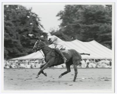 Bethpage State Park Polo Match