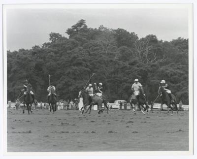 Bethpage State Park Polo Match