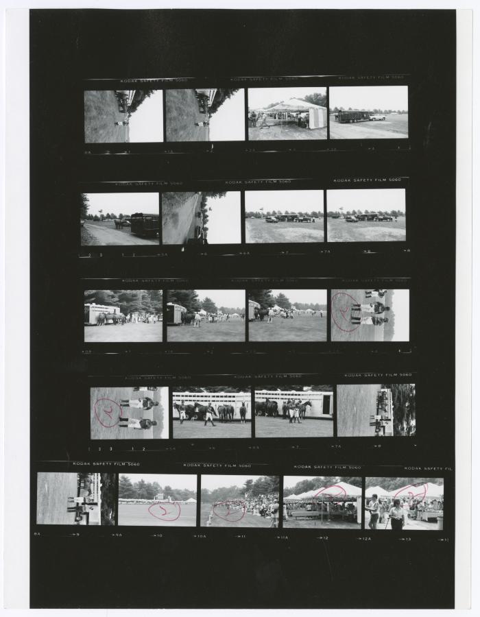 Contact sheet of twenty-one images of Bethpage State Park Polo Field. Shearson Lehman Tournament