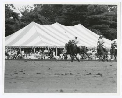 Bethpage State Park Polo Match