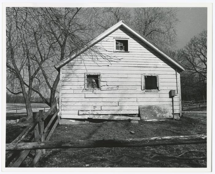 Bethpage State Park Stables