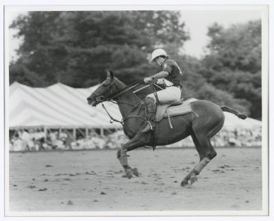 Bethpage State Park Polo Match